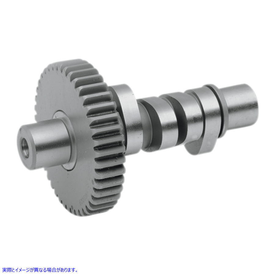 取寄せ グラインドカム - ビッグツイン アンドリュース Grind Cam - Big Twin 212310 DS199317