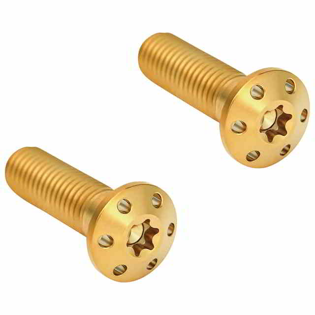 【並行輸入品】 アレンネス 取り付けボルト - ゴールド 300-919 17010809