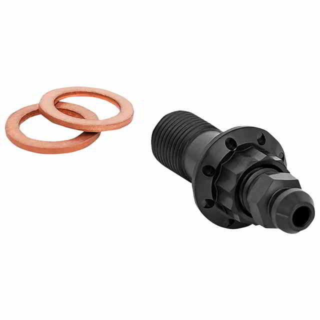 【並行輸入品】 アレンネス チタン製12ポイントバンジョーボルト 300-822 17420774