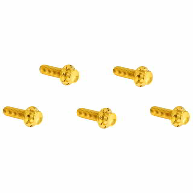 【並行輸入品】 アレンネス ダービーカバー 12ポイント チタンボルトキット 300-940 24011742