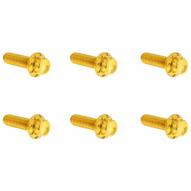 【並行輸入品】 アレンネス トランスミッション上部カバー チタン製 12ポイントボルトキット 300-949 24011748