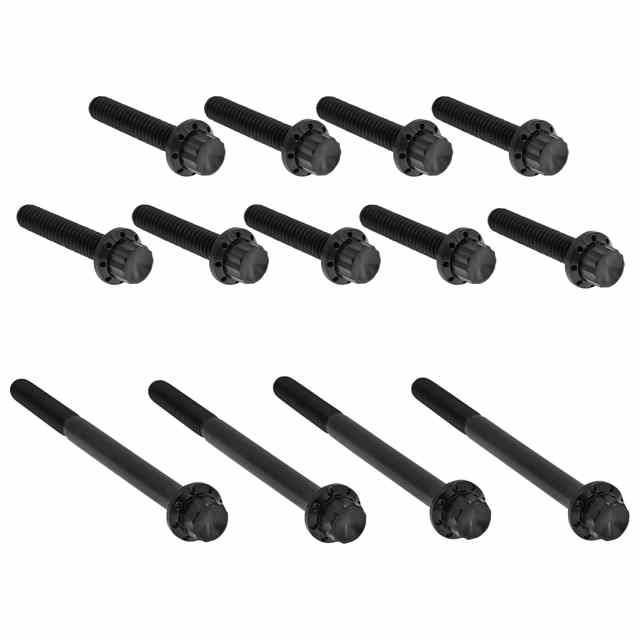 【並行輸入品】 アレンネス アウタープライマリーカバー チタン製 12ポイントボルトキット 300-990 24011768