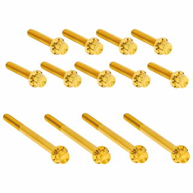 【並行輸入品】 アレンネス アウタープライマリーカバー チタン製 12ポイントボルトキット 300-991 24011769