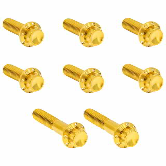 【並行輸入品】 アレンネス トランスミッショントラップドア用チタン製12ポイントボルトキット - 6速トランスミッション用 300-714 24011823