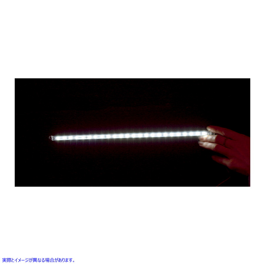 取寄せ カスタムダイナミクス TruFLEX? LED Lights - 12 LED TF12WC 20400932