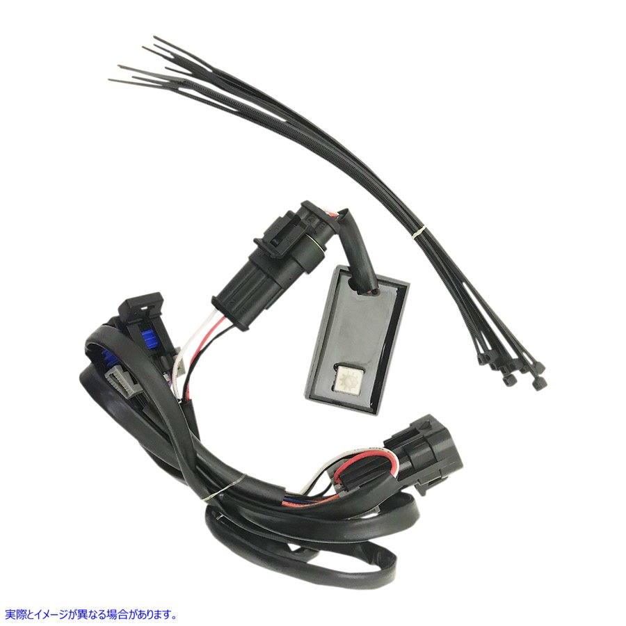 取寄せ ストロボモジュール - スカウト カスタムダイナミクス Strobe Module - Scout MAGSTROBESSCOUT 20500322