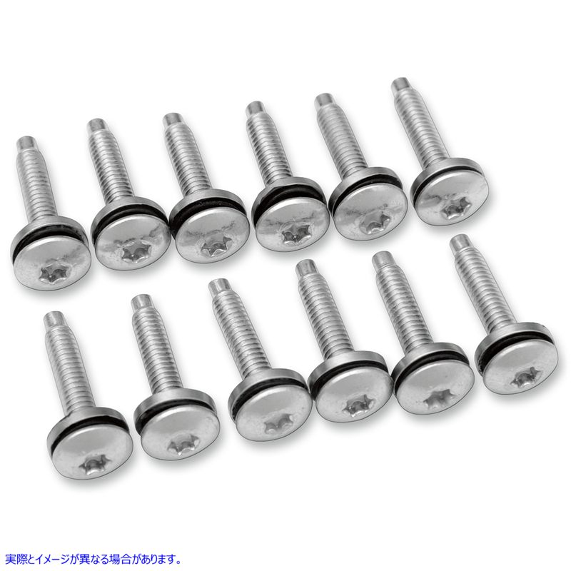 取寄せ フューエルポンプトッププレートハードウェアキット ドラッグスペシャリティーズ Mount Screws - EFI - 12-Pack 2401-0741 24010741