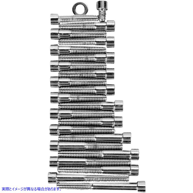 取寄せ ボルトセット ドラッグスペシャリティーズ Bolt Kit - Camshaft Primary - Socket-Head - XL DS-190798S DS190798S