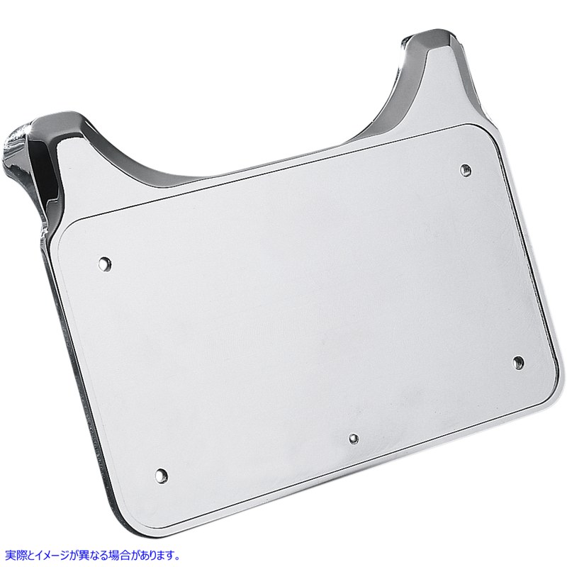 取寄せ ナンバープレートマウント - ハーレーダビッドソン ドラッグスペシャリティーズ License Plate Mount - Harley Davidson DS-270110 DS270110