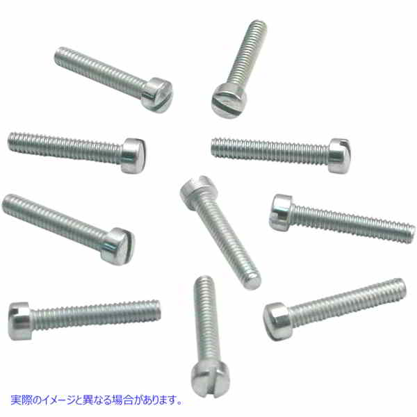 取寄せ スピードアイドルスクリュー - 10個パック エスアンドエス サイクル Speed Idle Screw - 10-Pack 50-0150 10031716