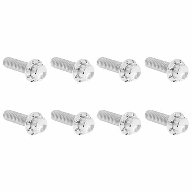 【並行輸入品】 アレンネス トランスミッショントラップドア用チタン製12ポイントボルトキット - M8モデル用 300-709 24011818