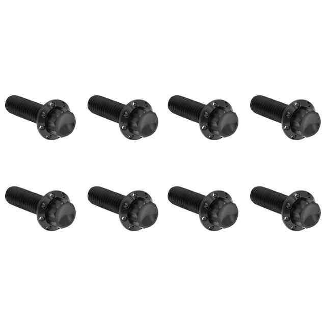 【並行輸入品】 アレンネス トランスミッショントラップドア用チタン製12ポイントボルトキット - M8モデル用 300-710 24011819