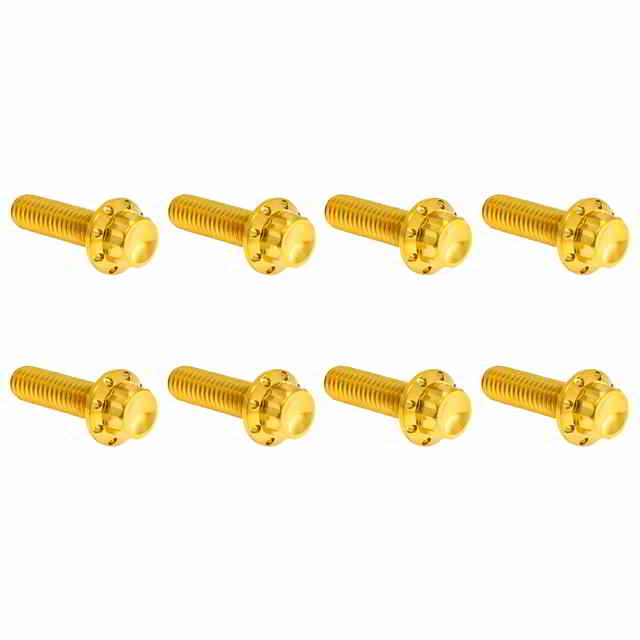 【並行輸入品】 アレンネス トランスミッショントラップドア用チタン製12ポイントボルトキット - M8モデル用 300-711 24011820